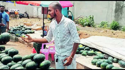 Surplus supply puts Belagavi watermelon farmers in a spot