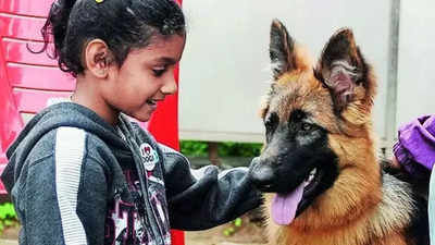 Bengaluru civic body forms panel to frame new rules for pet licensing
