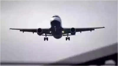 Bangkok-Mumbai flight delayed, work day lost, Air India to pay flyer Rs 85k