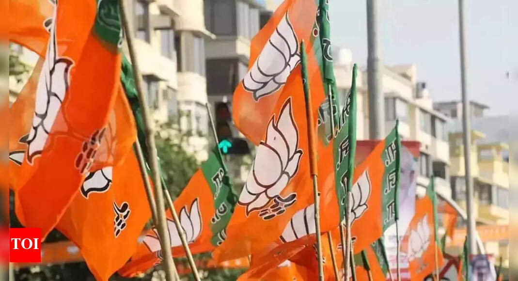 Lok Sabha elections: BJP releases 8th list of candidates; Mahtab from Cuttack, ex-ambassador Sandhu from Amritsar | India News