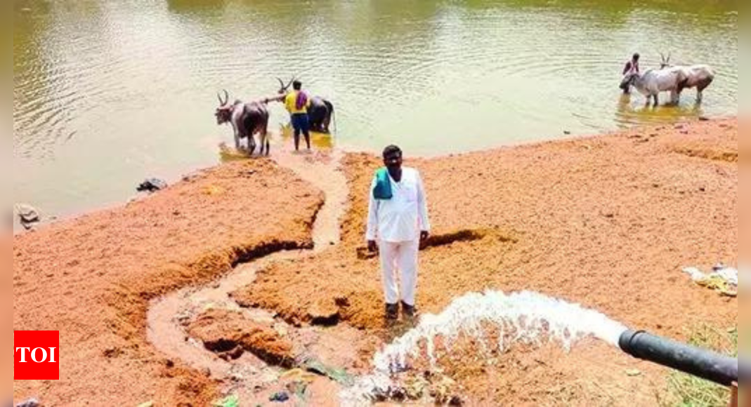In drought-hit K’taka, farmer pumps water from own well into dry river | India News – Times of India