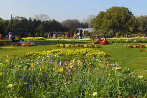 Delhi soon to get a new green park near the iconic Red Fort, thanks to NDMC