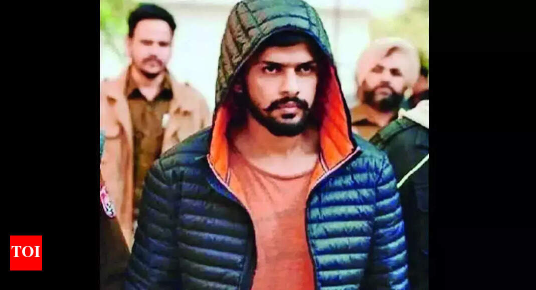 Surender Singh Chiku: Ed Attaches Assets Linked To Haryana Gangster Who Was Managing Money For Don Lawrence Bishnoi | Chandigarh News - Vimarsana News