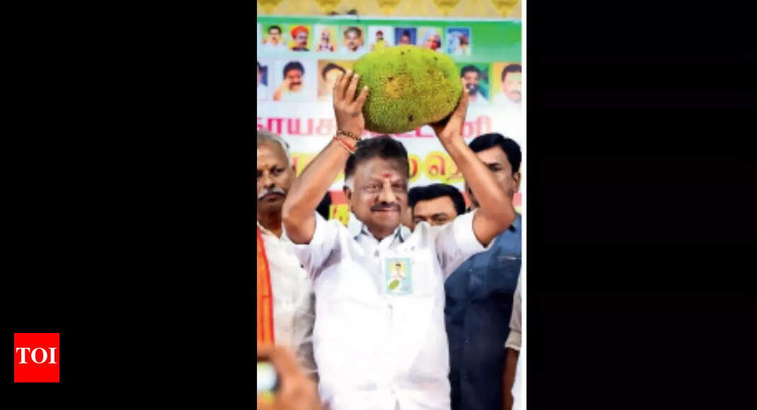 I never wanted to be Deputy CM; PM Modi persuaded me to accept the post: O Panneerselvam | Chennai News - Vimarsana News