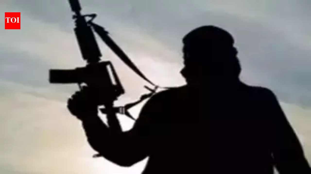 Pakistan witnessed 245 terror attacks, counter-terror operations in ...