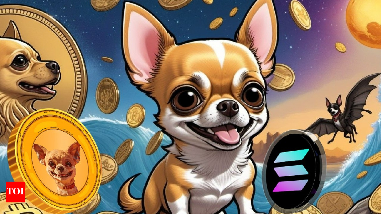 The new Solana meme coin sensation Hump (HUMP) is now live! Will it be the  next 1000x coin? - Times of India