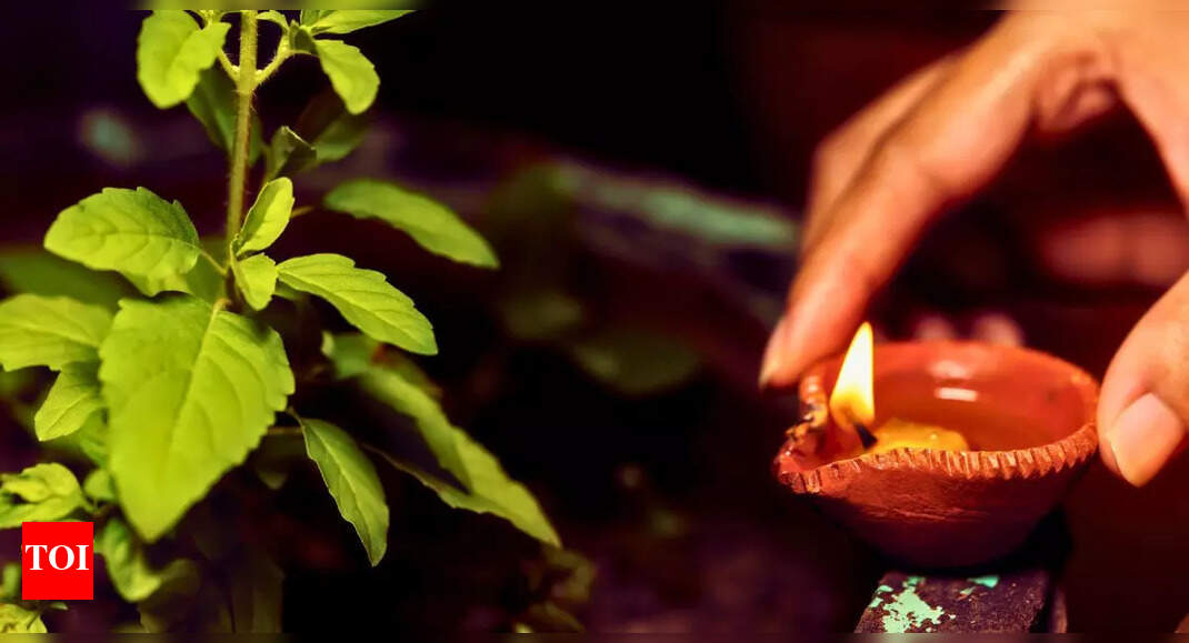 The essential guide to working with Vastu consultants - Vimarsana News