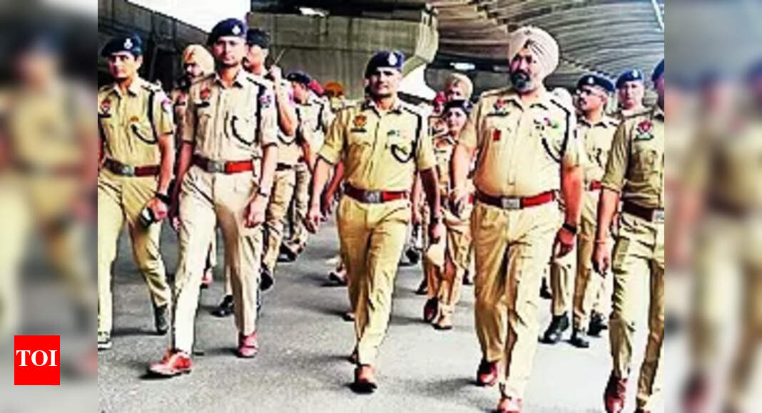 Flag March: Police Take Out Flag March In City | Ludhiana News - Vimarsana News