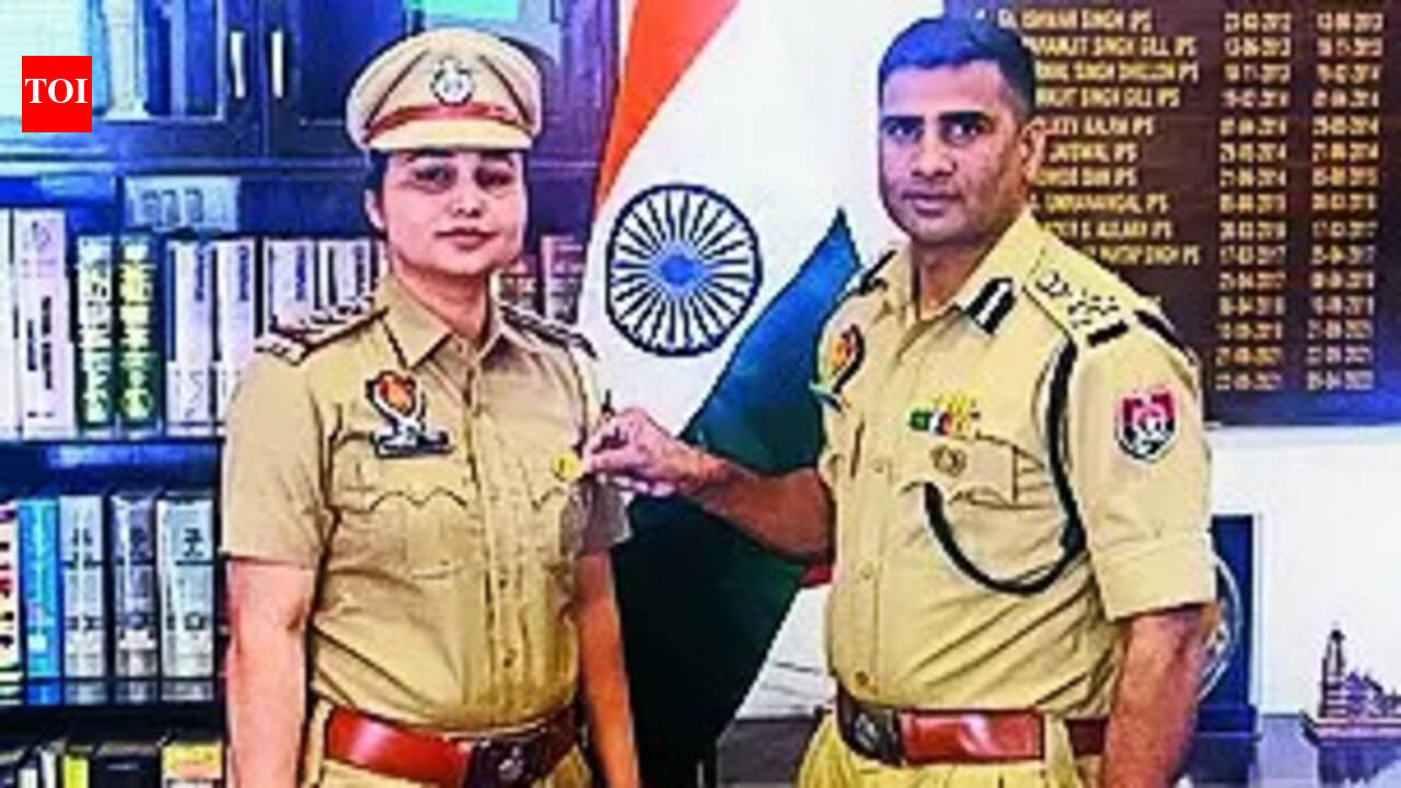 Inspector Gets Dgp Disc For Great Performance | Ludhiana News - The ...