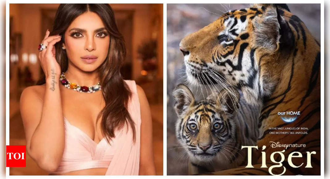 Priyanka Chopra announces new film ‘Tiger’: I had so much fun lending my voice to this incredible story | – Times of India