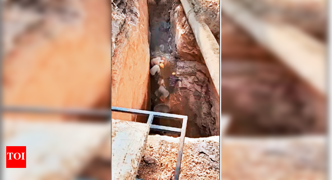 78yearold man dies after falling into sewage trench Hyderabad News