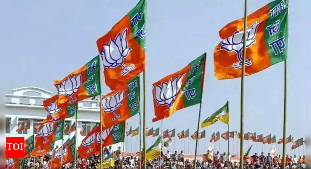BJP releases list of 112 candidates for Odisha assembly elections | India News - Vimarsana News
