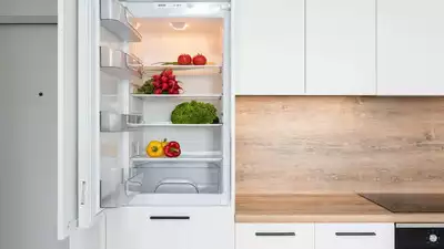 What Refrigerator Size Is Right For Your Needs?