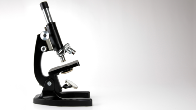 What is a Compound Microscope and What Are Its Basic Uses