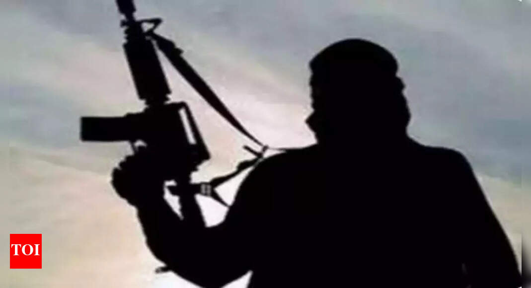 10 Maoists killed in Bijapur; LMG & grenade launchers seized | Raipur News - Vimarsana News