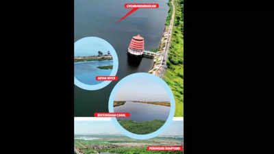 Hazardous 'forever' chemicals found in Chennai lakes; can cause liver damage, cancer