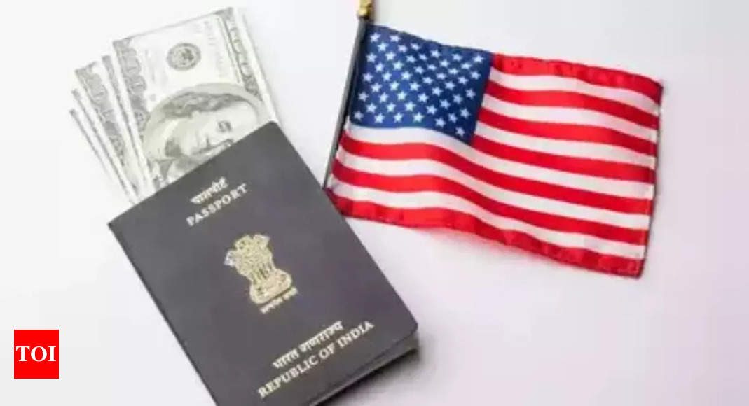 USCIS introduces a third-gender option in citizenship applications – Times of India