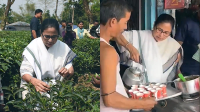 Mamata Banerjee serves tea at local stall, interacts with school children