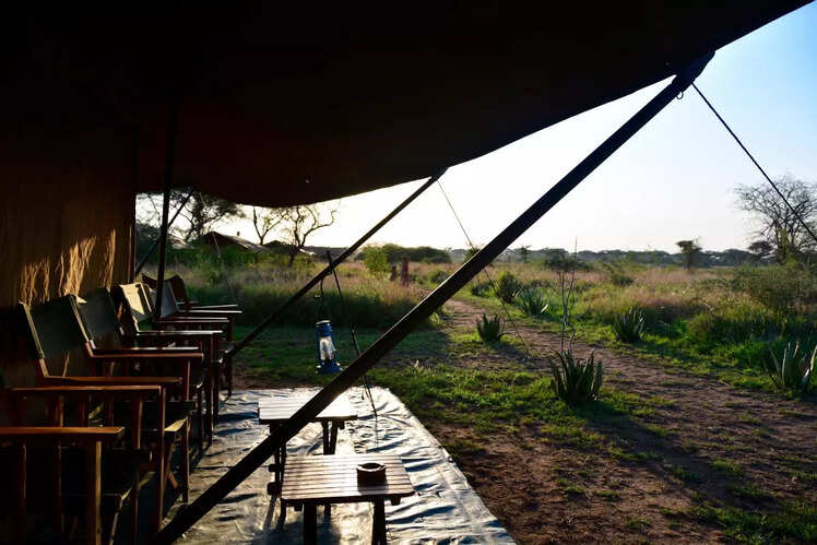 Ranthambore National Park, Rajasthan
