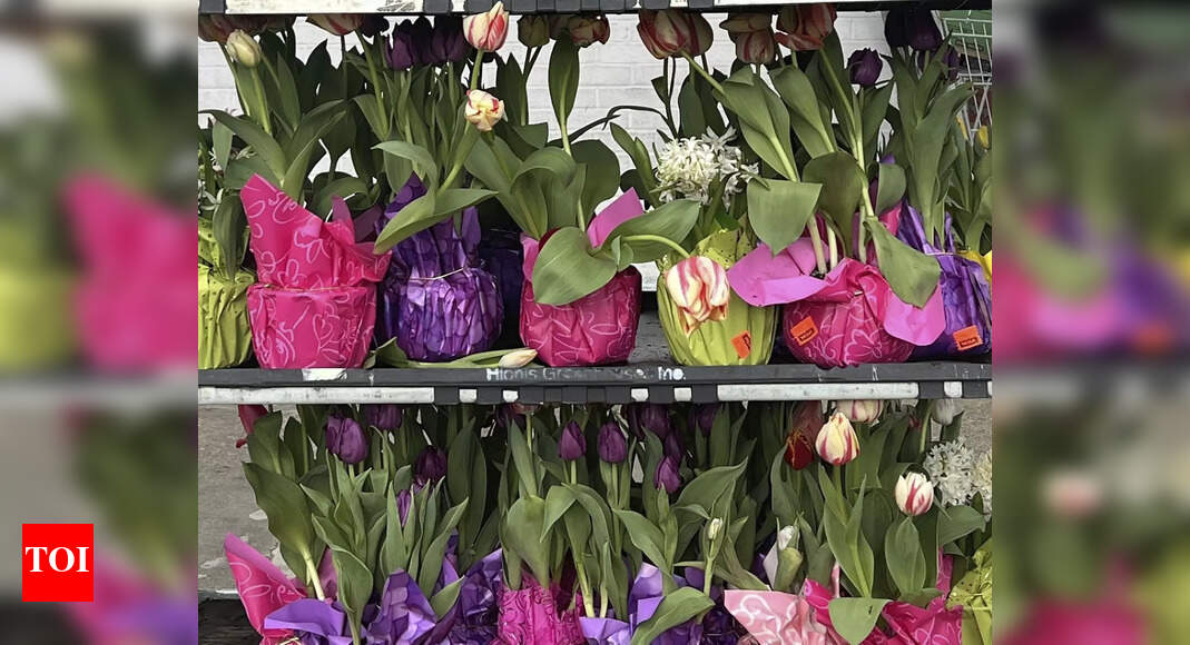 Springtime serenity: Vastu guidelines for gardening - Vimarsana News