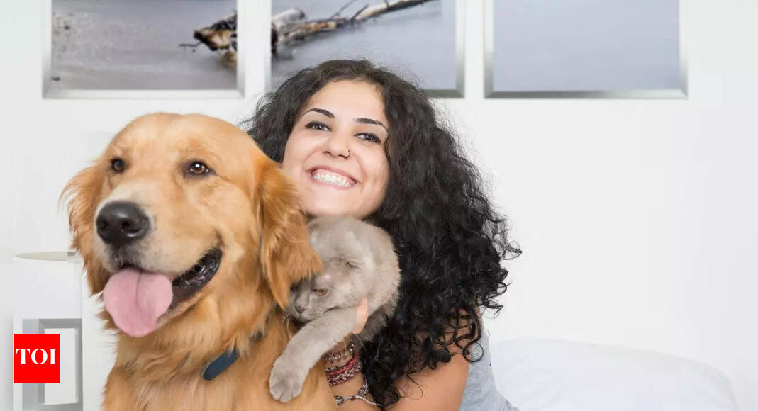 How to take care of cats and dogs during a solar eclipse? - Vimarsana News