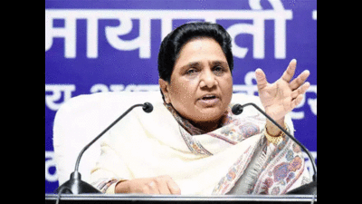 Mayawati, Akash Anand among 40 star campaigners of BSP in UP