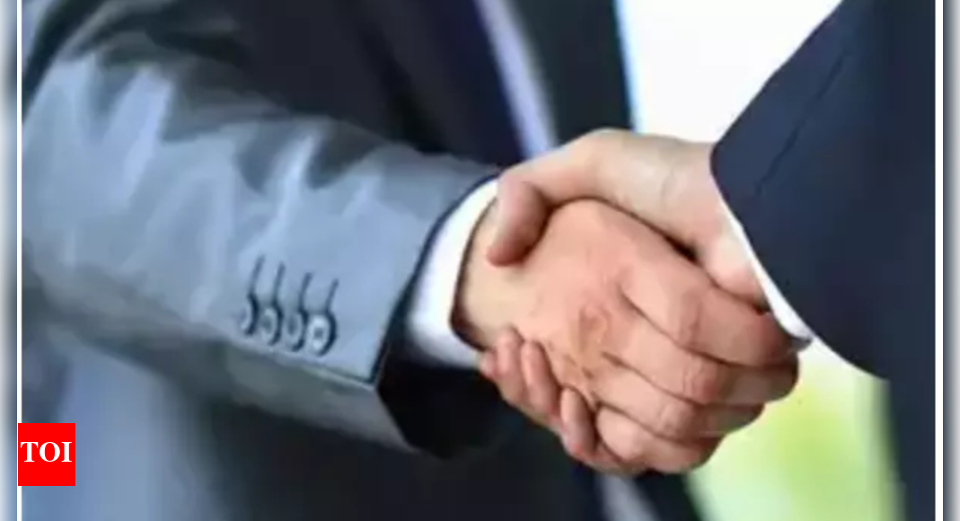 General Atlantic: Pe Firm General Atlantic To Buy Majority Stake In Ujala Cygnus | India Business News - Vimarsana News