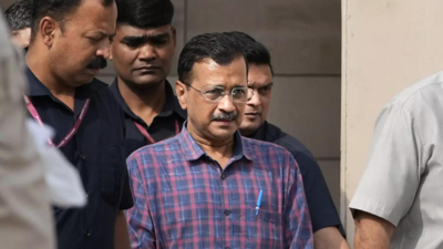 ED versus Arvind Kejriwal | 'AAP already used money in Goa polls': What ED and Delhi CM said in court