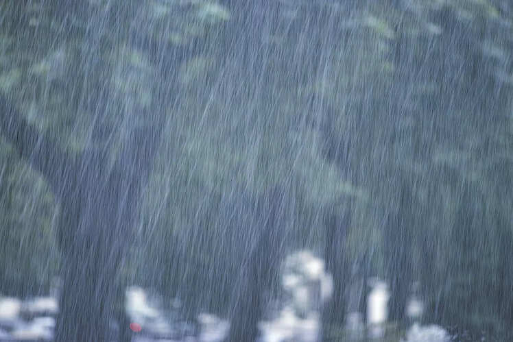 East India under the spell of rainfall