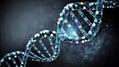 Six genes found to control one's personality, affect health, well-being