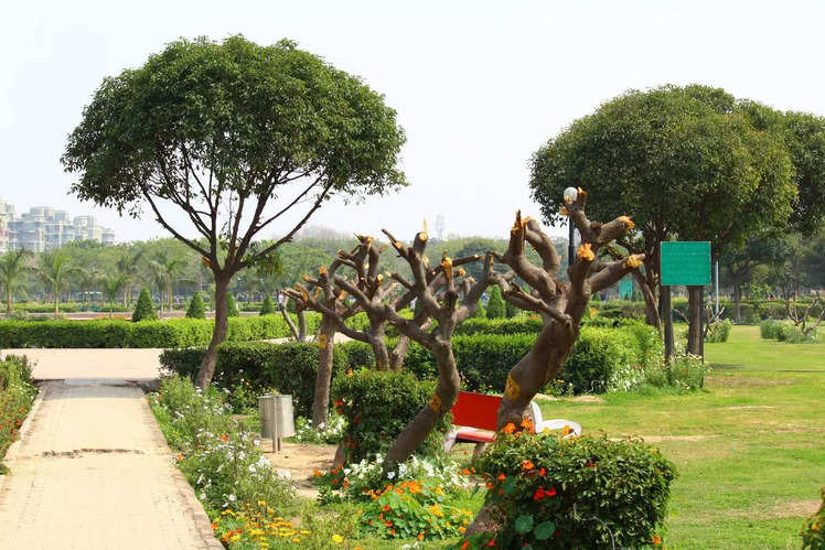 The best of Delhi's parks for a perfect summer day out | Times of India ...