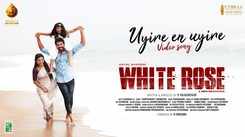 White Rose | Song - Uyire En Uyire