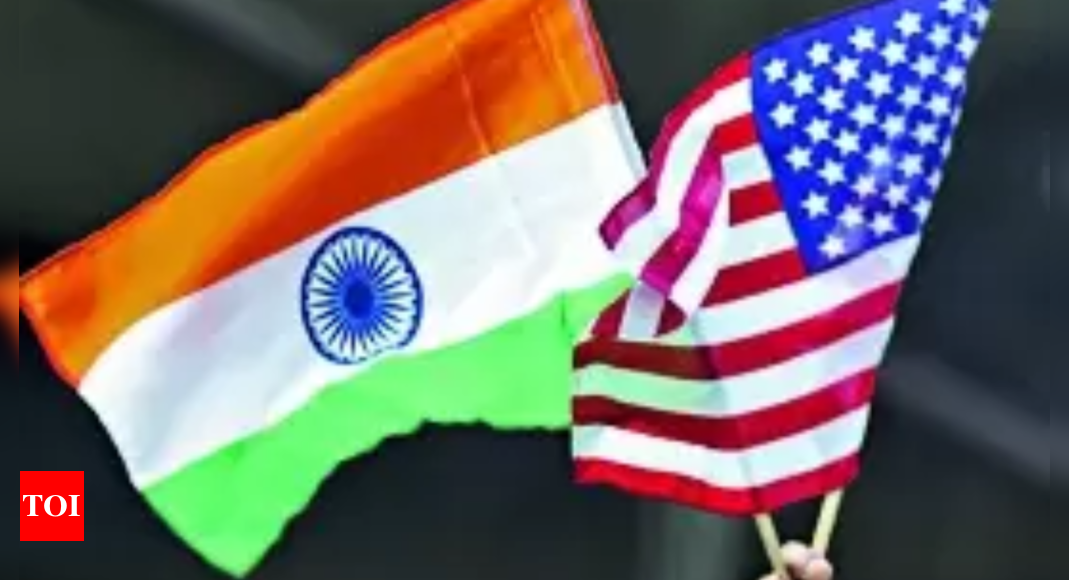 Not asking India to cut down oil imports from Russia: US | India News – Times of India
