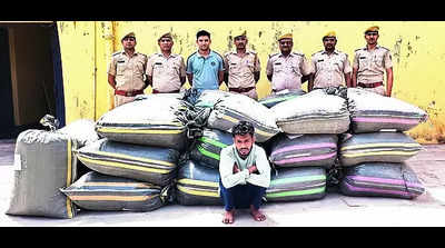 795kg poppy husk worth ₹1.19 crore seized in Kota