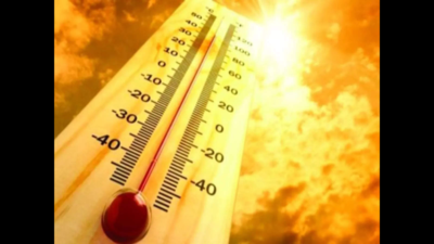 No relief in temp, Karnataka reports over 500 heatstroke cases, 2 deaths in 5 weeks