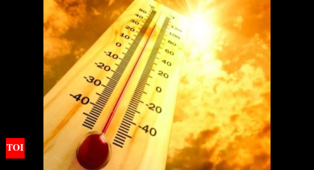 No relief in temp, Karnataka reports over 500 heatstroke cases, 2 deaths in 5 weeks | Bengaluru News - Vimarsana News