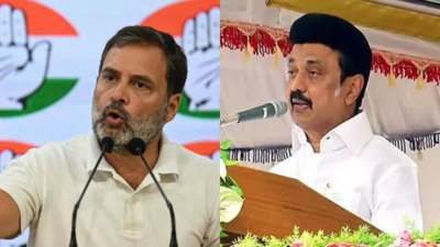 Tamil Nadu: Rahul, CM Stalin to frontline INDIA rally in Coimbatore on April 12