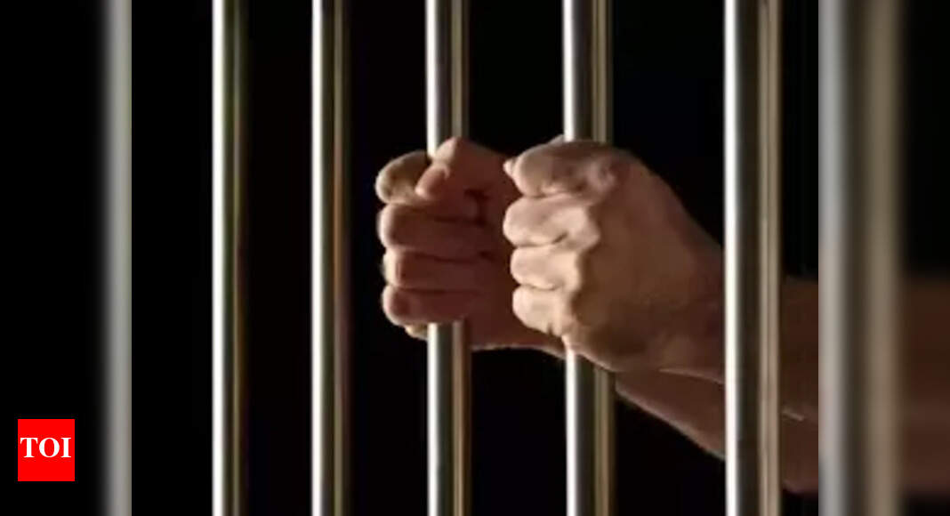 Indian child sex offender arrested after Maryland courts give light sentences: ICE - Vimarsana News