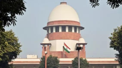 Supreme Court stays Allahabad high court's decision to scrap UP Madrassa law