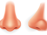 Personality test: Shape of the nose can reveal a lot about an individual