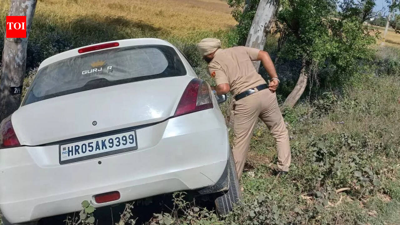 Three killed in fatal crash in Yamunanagar | India News - The Times of ...