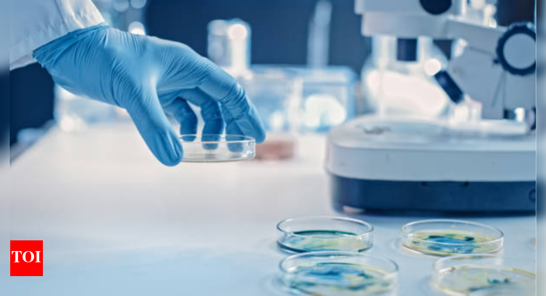Sustainable Antibiotic Research and Development