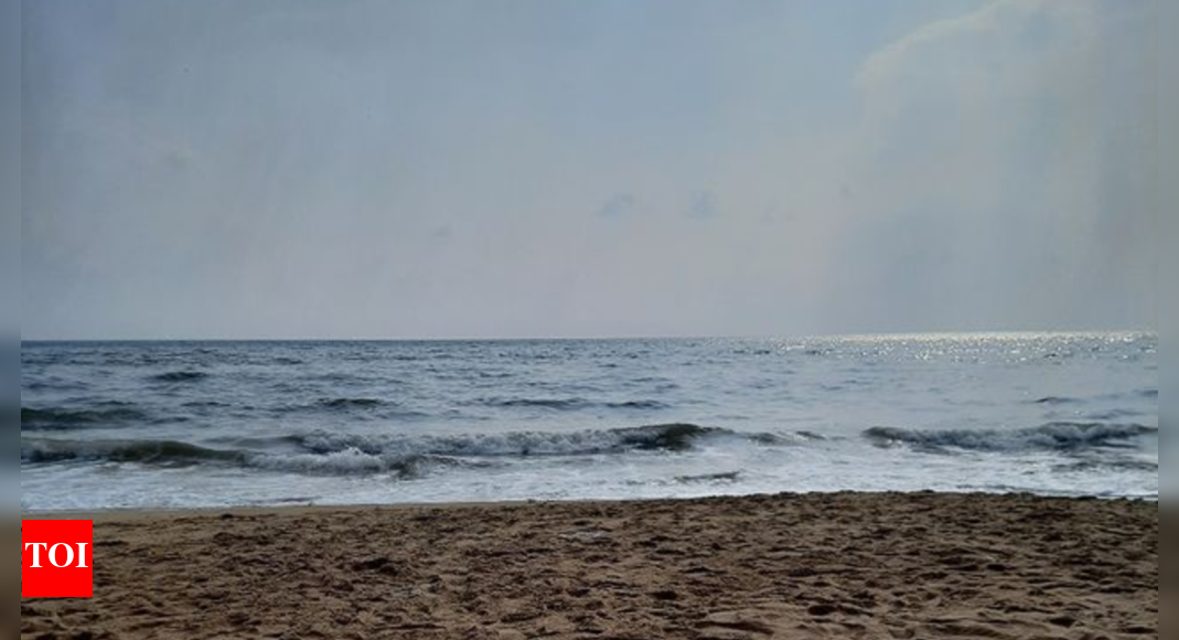 Chennai: This is the safest place on Marina beach for a bath | Chennai News - Vimarsana News
