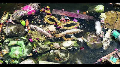 Futala turns graveyard of fish, locals choke on stink; toxic water suspect