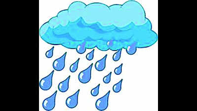 Rain and gusty winds forecast for Vidarbha