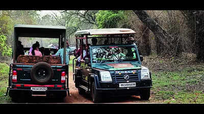 Cruiser safaris for owners of resorts & tour agents banned