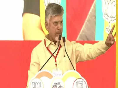 If TDP, JSP, and BJP alliance comes to power, action would be taken against illegal sand mining: Chandrababu Naidu