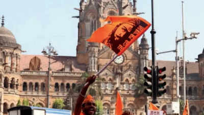 Regression among Marathas, 84% deserving of quota: Panel