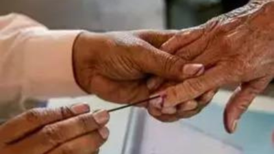 Gujarat Lok Sabha Elections 2024: Total seats, schedule, candidates list, date of voting, result, main parties