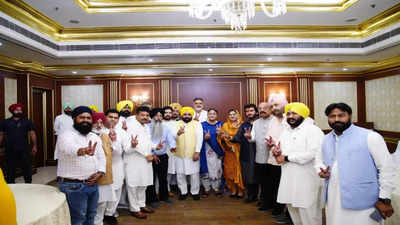 'AAP has to win Sangrur and Jalandhar at any cost' says Punjab CM Bhagwant Mann